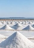 Salt